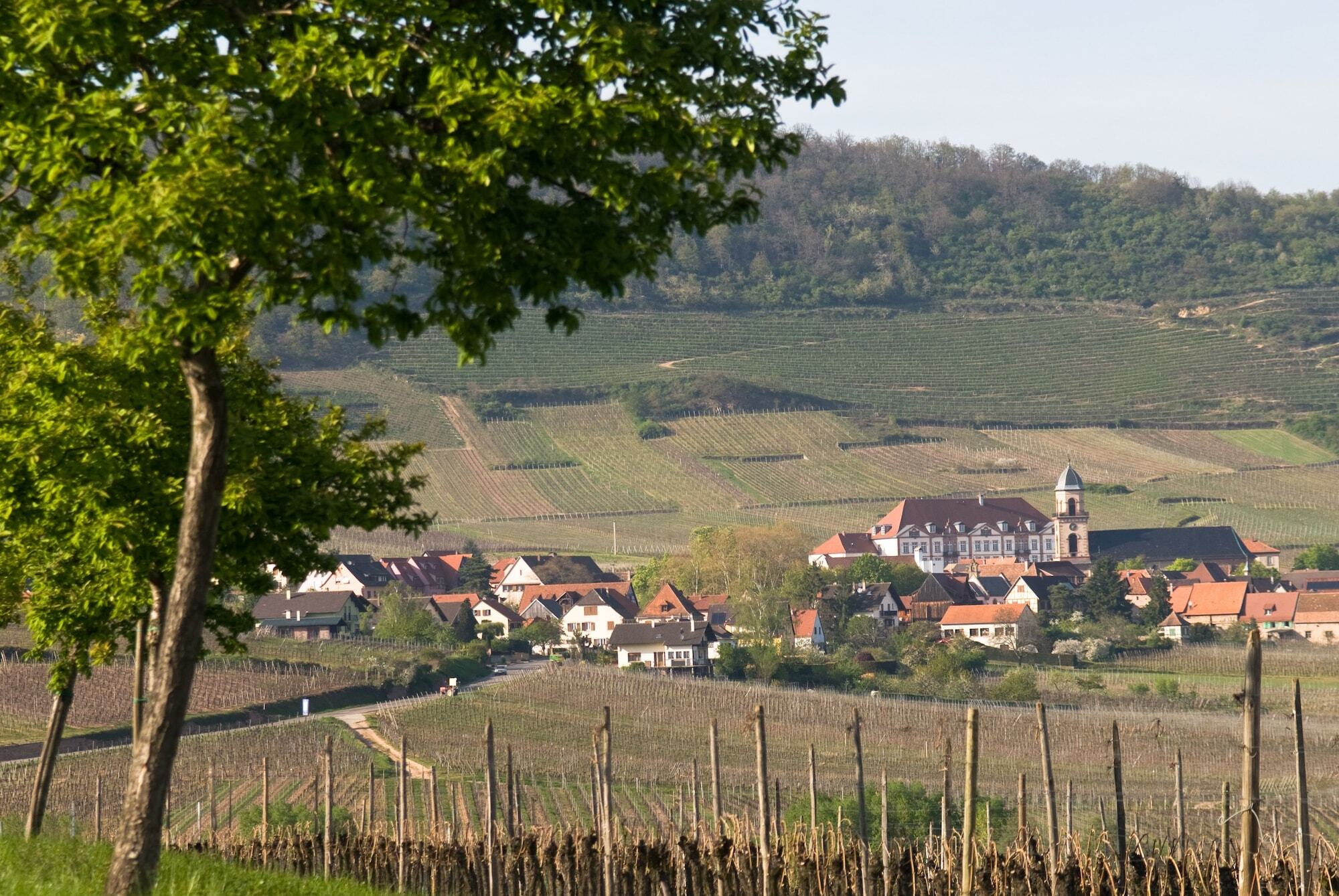 Hotel Val-Vignes Colmar Haut-Koenigsbourg, The Originals Relais Saint-Hippolyte  Exteriér fotografie